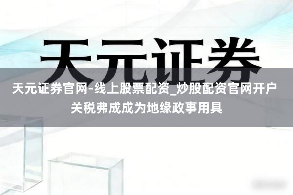 天元证券官网-线上股票配资_炒股配资官网开户 关税弗成成为地缘政事用具